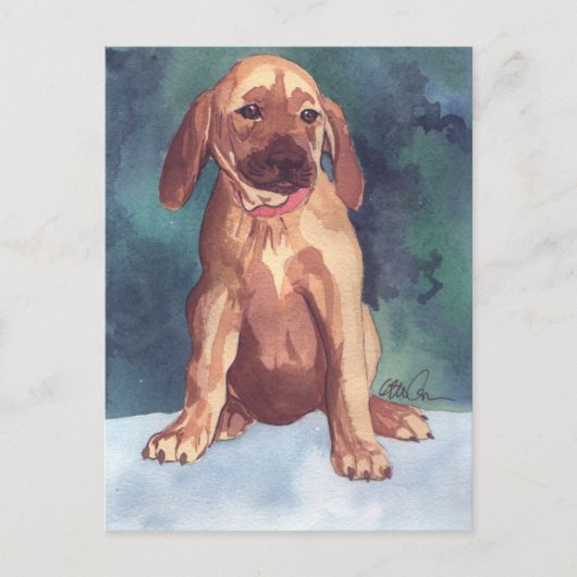 Cute Puppy briefkaart (Voorkant)