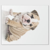 Cute Puppy Bulldog Sad Cadeaupapier (Vlak)