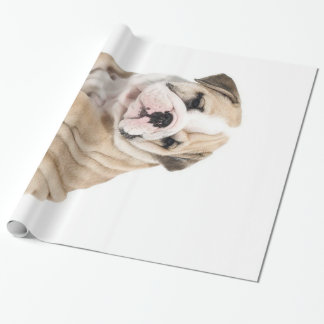 Cute Puppy Bulldog Sad Cadeaupapier