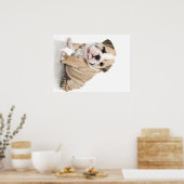 Cute Puppy Bulldog Sad Poster (Keuken)