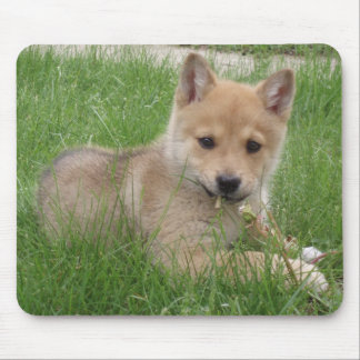 Cute Puppy Computer Mousepad Muismat