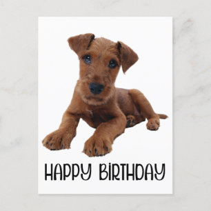Cute Puppy Dog Airedale Terrier Birthday Briefkaart