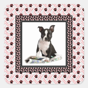 Cute Puppy Dog Foto Paw and Bone Sjabloon Vierkante Sticker