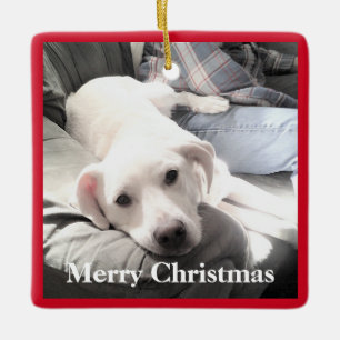 Cute Puppy Dog met Pap Square Red en Green Keramisch Ornament