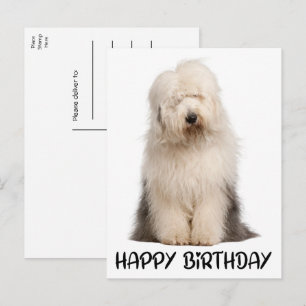 Cute Puppy Dog Old English Sheepdog Birthday Briefkaart