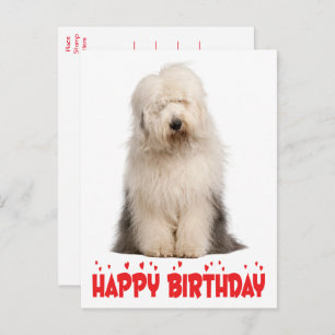 Cute Puppy Dog Old English Sheepdog Birthday Post Briefkaart