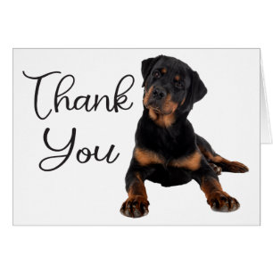 Cute Puppy Dog Rottweiler Thank You