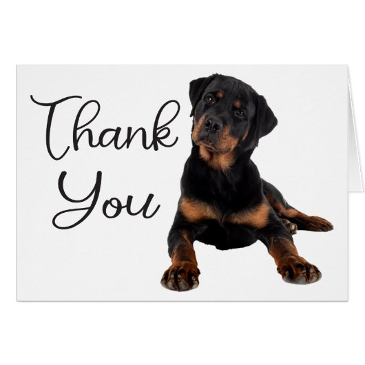 Cute Puppy Dog Rottweiler Thank You (Devant Horizontal)
