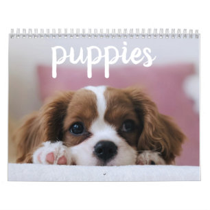Cute Puppy Dogs Kalender