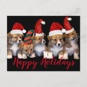 Cute Puppy Dogs Prettige feestdagen Kerstmis Briefkaart