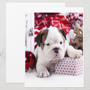 Cute Puppy English Bulldog   Vreemde kerst