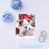 Cute Puppy English Bulldog | Vreemde kerst Flyer (Enkel)