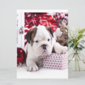 Cute Puppy English Bulldog | Vreemde kerst Menu (Staand voorkant)