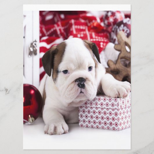 Cute Puppy English Bulldog | Vreemde kerst Menu (Voorkant)