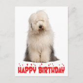 Cute Puppy Hond Oud-Engelse Herdershond Verjaardag Briefkaart (Voorkant)