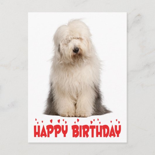 Cute Puppy Hond Oud-Engelse Herdershond Verjaardag Briefkaart (Voorkant)