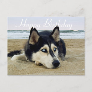 Cute Puppy Hondenliefhebber Siberian Husky Birthda Briefkaart