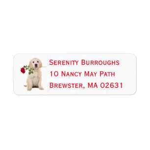 Cute Puppy Hondenliefhebbers Golden Retriever Etiket