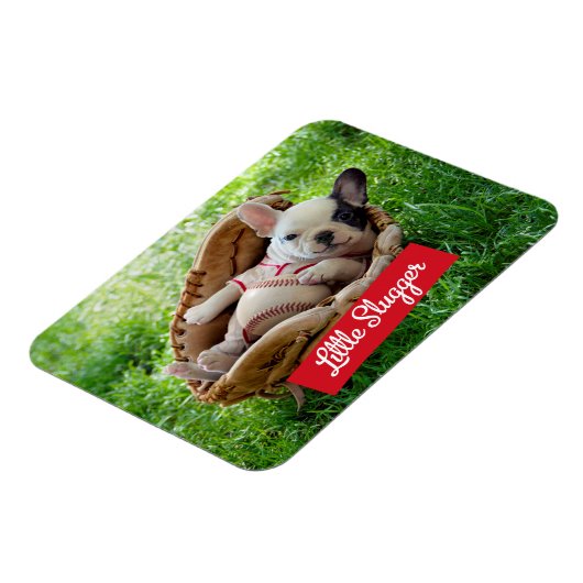 Cute Puppy in een Baseball Mitt Magneet (Linkerzijde)