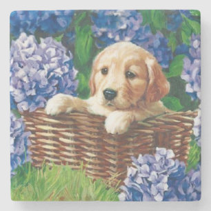 Cute Puppy in een mandje Stenen Onderzetter