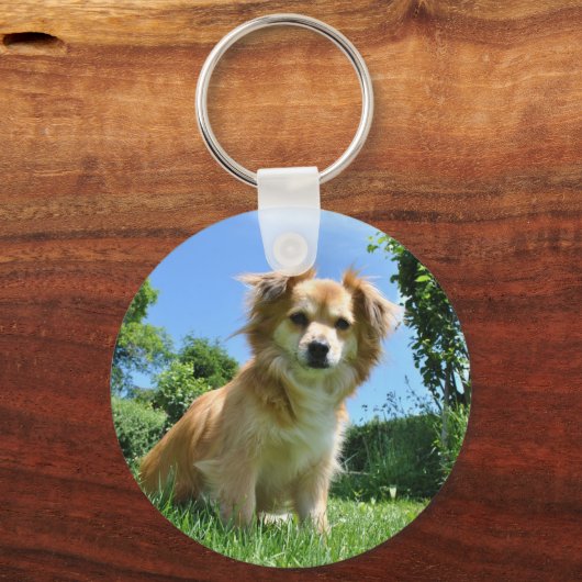 Cute Puppy in Garden Photo Sleutelhanger (Achterkant)