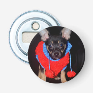 Cute Puppy in Red Wool Sweater Button Flesopener