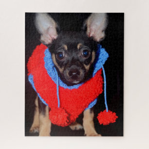 Cute Puppy in Red Wool Sweater Legpuzzel