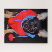 Cute Puppy in Red Wool Sweater Legpuzzel (Horizontaal)