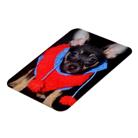 Cute Puppy in Red Wool Sweater Magneet (Linkerzijde)