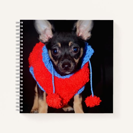 Cute Puppy in Red Wool Sweater Notitieboek (Voorkant)