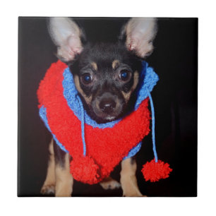 Cute Puppy in Red Wool Sweater Tegeltje