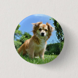 Cute Puppy in Tuin Foto Ronde Button 3,2 Cm