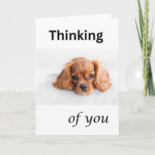 Cute puppy kaart, Denk aan jou, Cavalier hond Kaart
