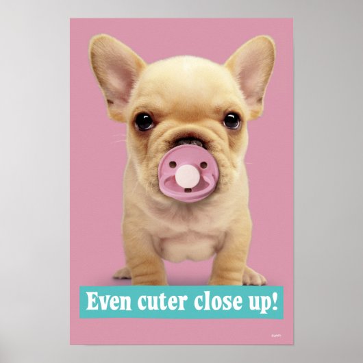 Cute Puppy met Pacifier Poster (Voorkant)