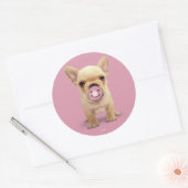 Cute Puppy met Pacifier Ronde Sticker (Envelop)