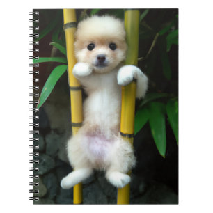 Cute Puppy Notitieboek Gaejook 개 죽 이