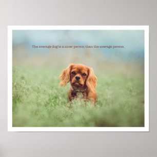 Cute puppy poster