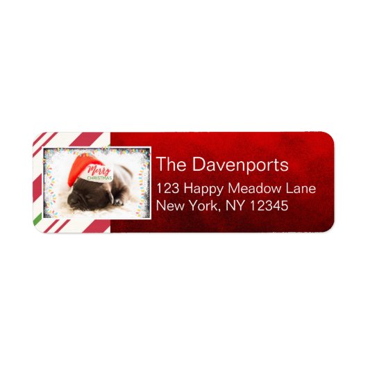 Cute Puppy Pug in een Rode Kerstmis Etiket (Voorkant)