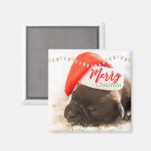Cute Puppy Pug in een Rode Kerstmis Magneet (Voorkant / Achterkant)