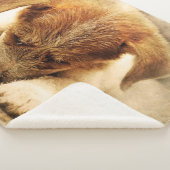 Cute Puppy Sherpa Deken (3/4)