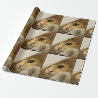 Cute Pussy Cat Wrapping Paper Cadeaupapier