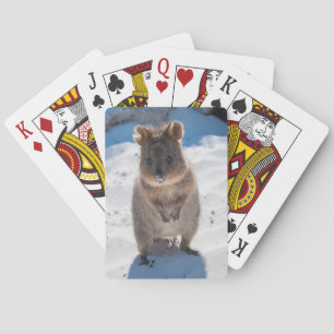 Cute Quokka Animal Beach Wildlife Australië Pokerkaarten
