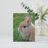 Cute Rabbit Briefkaart (Staand voorkant)