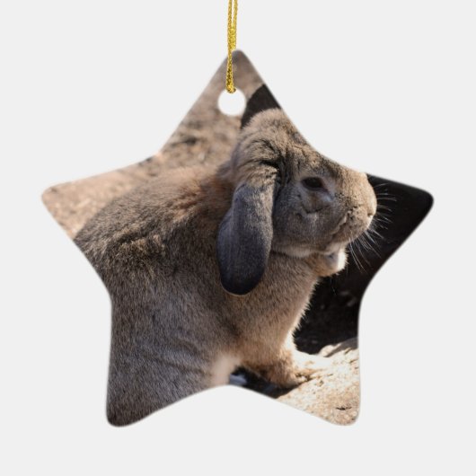 Cute Rabbit Keramisch Ornament (Voorkant)
