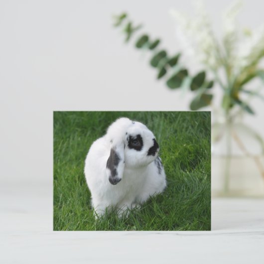 Cute Rabbit on Grass Briefkaart (Staand voorkant)