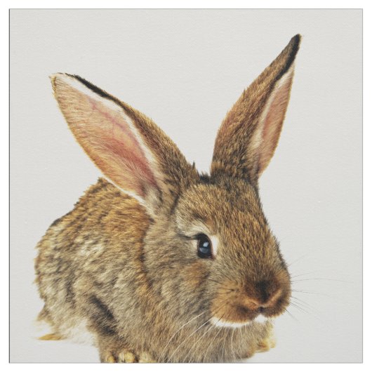 Cute Rabbit Stof (Swatch)