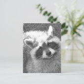 Cute Raccoon Briefkaart (Staand voorkant)