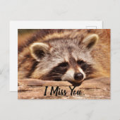 Cute Raccoon Briefkaart (Voorkant / Achterkant)