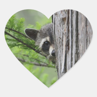 Cute Raccoon Hart Sticker