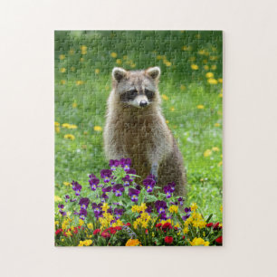 Cute Raccoon in de Vloertuindieren Legpuzzel